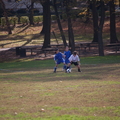 IMG 0086